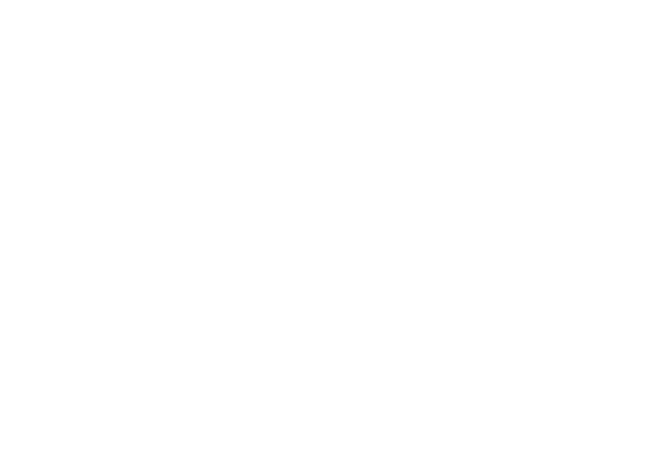 PLEKS – Begegnung, Kultur, Bildung